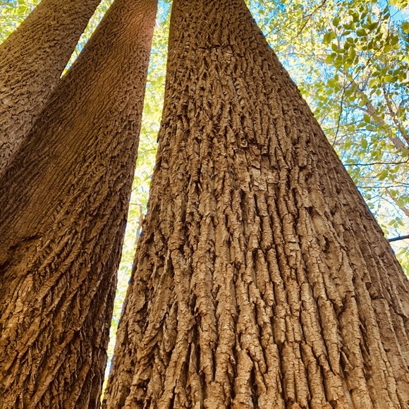 Meet your Posher, Sonya - Picture 5 of 14